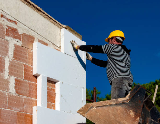 Best Geographic-Specific Insulation Services in Chauvin, LA