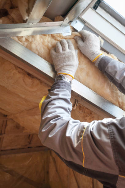 Best Spray Foam Insulation in Chauvin, LA