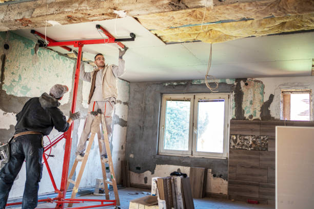 Best Cellulose Insulation in Chauvin, LA