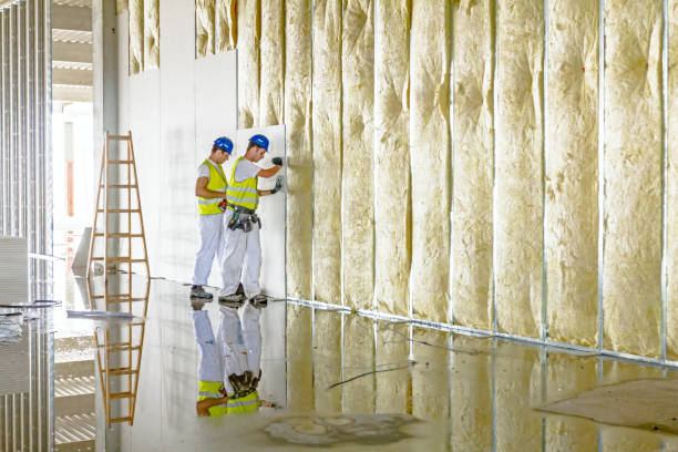 Best Insulation Maintenance and Repair in Chauvin, LA